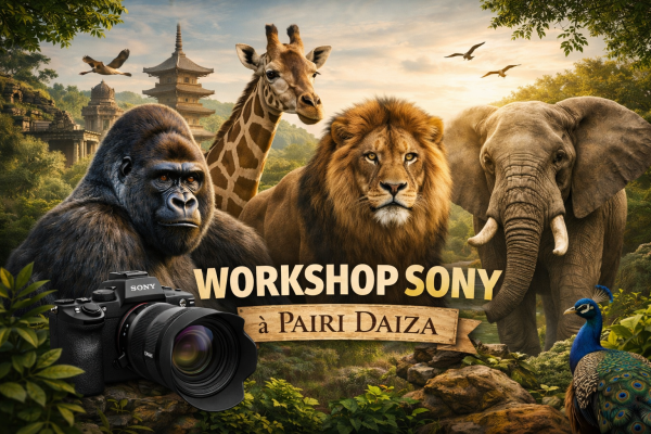 WORKSHOP SONY - PAIRI DAIZA